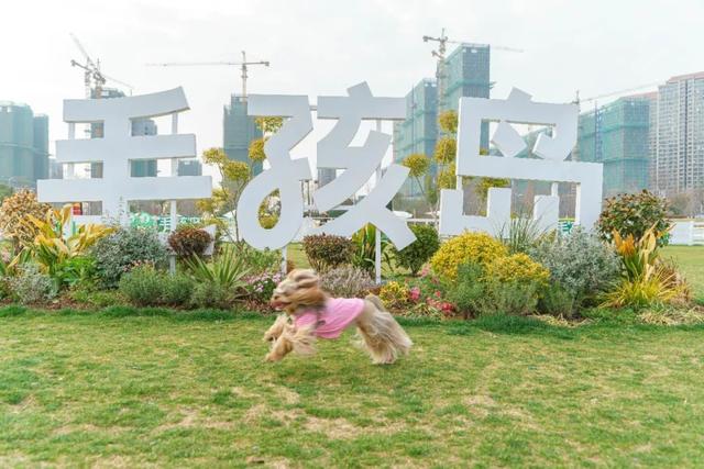 正式开放！南京也太友好了
