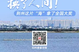 换了人间！荆州这片“海”拿了全国大奖图片