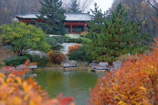 威海的冬日浪漫，从一场雪开始