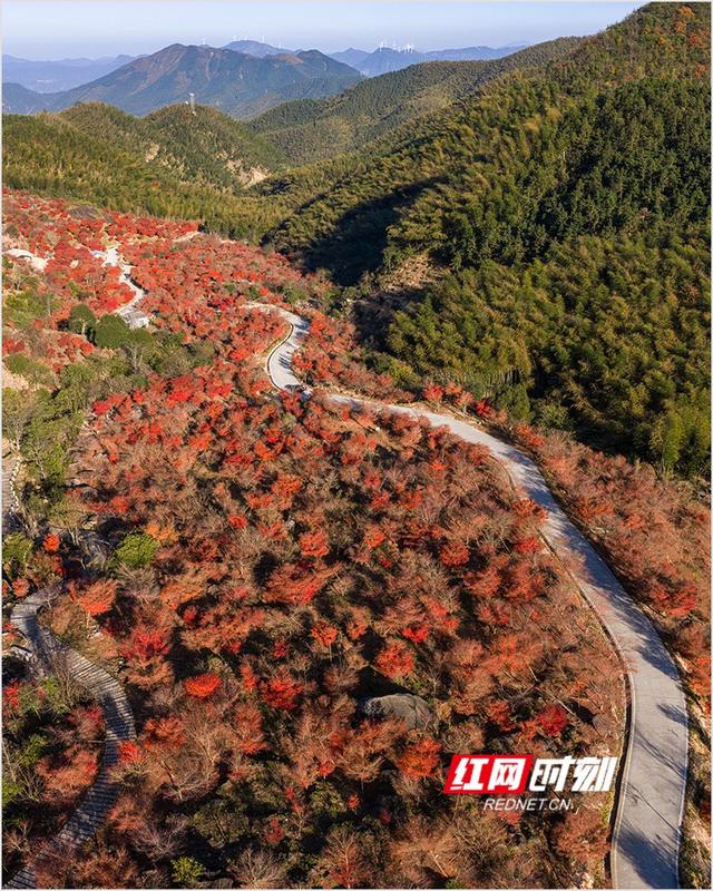 潘华摄影作品：漫步永州蓝山谷 邂逅湘江源头的层林尽染