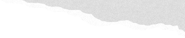 紫花风铃季赏花游玩超实用攻略！畅玩N种趣味体验~看这篇就够啦！