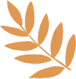 “党建红”点亮“枫”景丨栖霞山 “红枫护卫队” 上线！