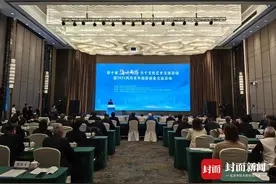 第十届海峡两岸大千文化艺术交流活动在四川内江举行图片