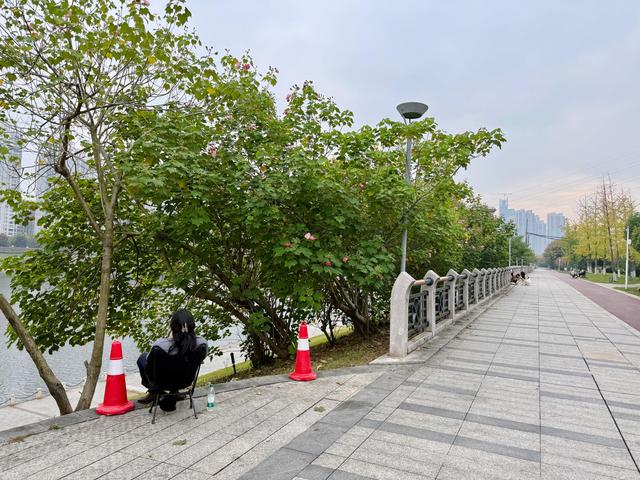 长沙人秋天的仪式感，藏在浏阳河畔这片粉色花海里