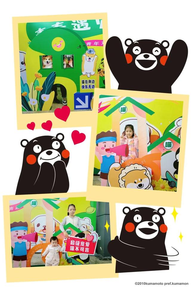 主题打卡、志愿服务、品牌展区…青年发展型城市的宠物博览会亮点多多