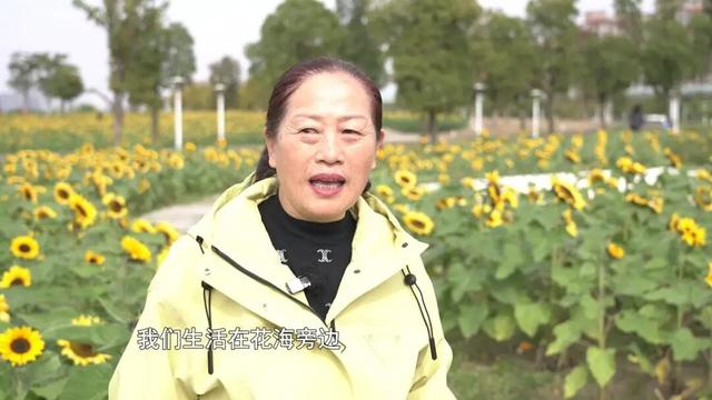 超出片！崇川滨江向日葵花海全网刷屏