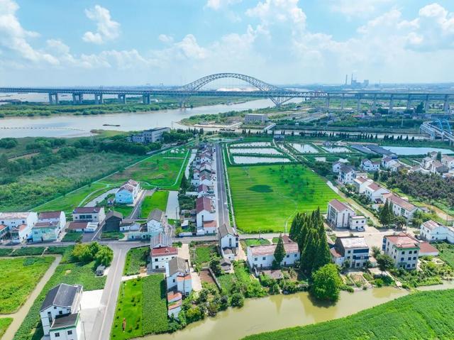 龙凤呈祥 “桥”见未来｜这么近那么美，周末到新北！