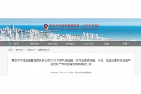 山东省青岛市公布2024年燃气调压器、燃气泄漏报警器、水泥、低压成套开关设备产品质量市专项监督抽查结果图片