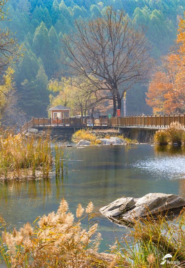 组图丨泰山彩石溪初冬 溪水与暖阳织就轻缓诗意