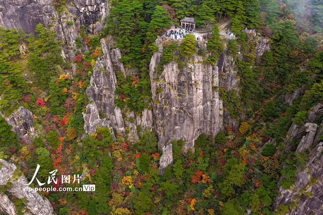 安徽黄山：峰林尽染秋意浓
