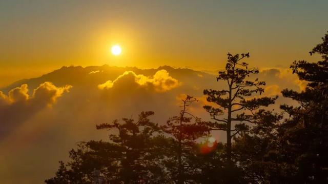 免门票福利！白云山绝美秋色正在上映→