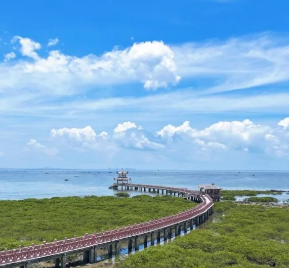 我有一个防城港朋友，TA说……