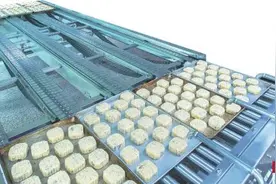 盐焗鸡味、芥末味、咖喱味 百年月饼解锁新味道图片