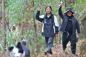 00后湖南女孩从白领转行重庆护林员 养的狗爱上吃山里的折耳根图片