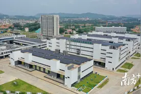 “中央厨房”渐成形！博罗泰美打造优质农产品入湾出海集聚地图片