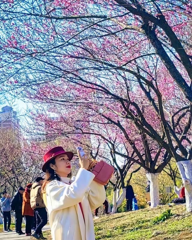 气温直冲20℃！第一波赏花的人已出发