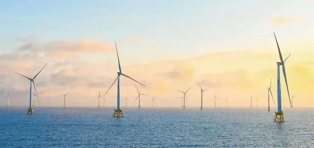 多位外籍网红博主“打卡”阳江