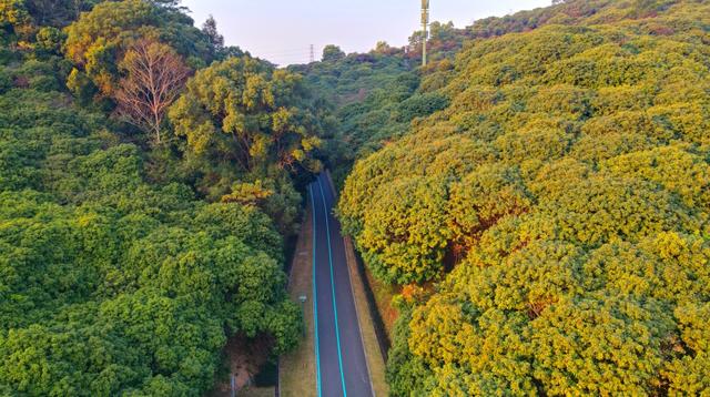 双节“反向旅游”？宝安这几个冷门地，人少景也美