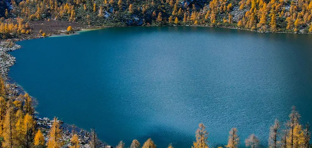 红红红了！红叶最佳观赏期已至！游玩安全记心中→