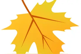 路边的这种果实有毒，不能吃！图片
