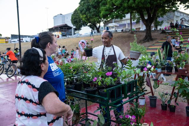 巴西马卡帕：赤道之城的生态与人文风貌