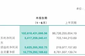 铜价“过山车”多家机构下调预期 大幅扩张铜产能的洛阳钼业能持续高增长吗？图片