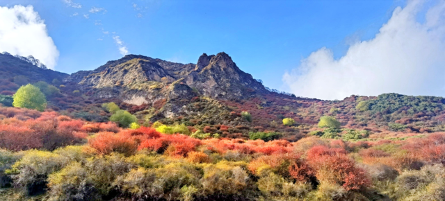 【秋日青海】西宁群加的秋，是风写在山林里的诗