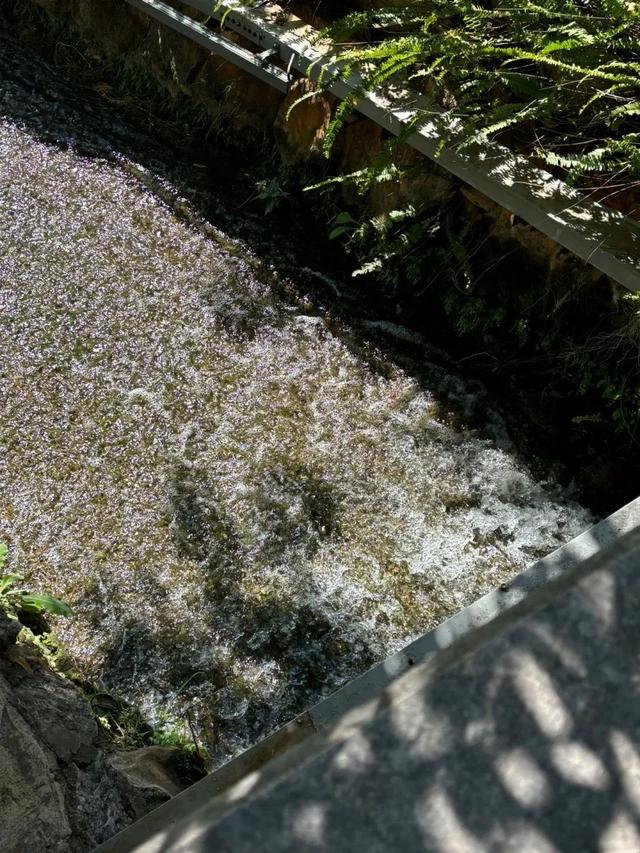什么！石林县城比风景区更好玩儿？旅游博主的攻略来了