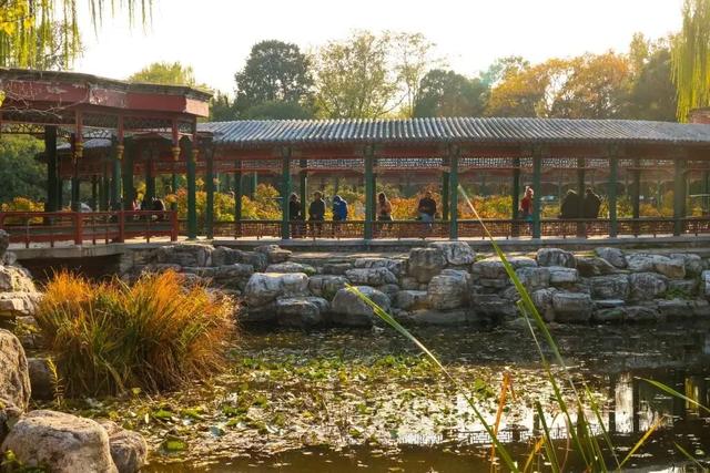 当立冬遇见金秋，北京动物园赏秋打卡攻略