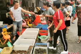 中秋庆团圆 广东侨乡台山人吃螺赏月图片