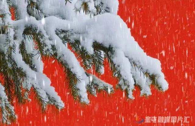 2026在奎屯丨落雪染冬色 烟火暖人心 知己常相伴