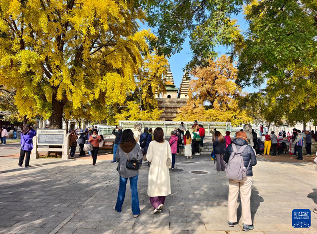 北京：五塔寺秋色浓