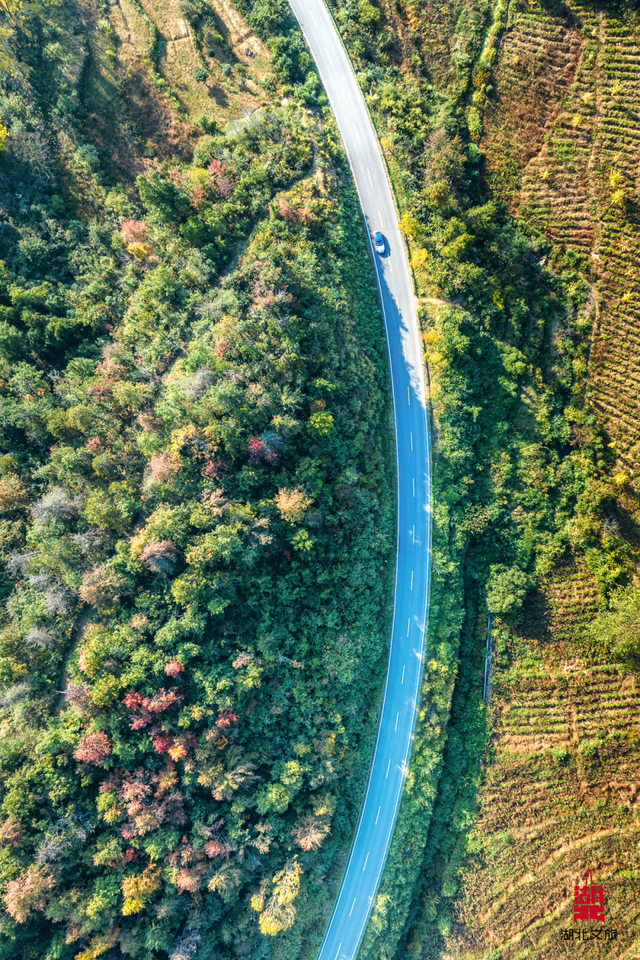 2h直奔武汉“东极”，这条自驾线刷爆朋友圈