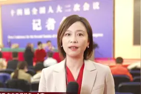 两会观察 2024年稳就业怎么干 人社部部长总结“五个全力”视频封面