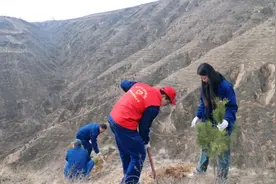 国网庆阳供电公司：最是一年春好处 “植”此青绿正当时图片