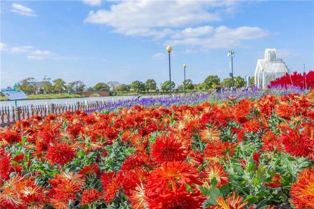 抓紧出发！错过就要等明年！