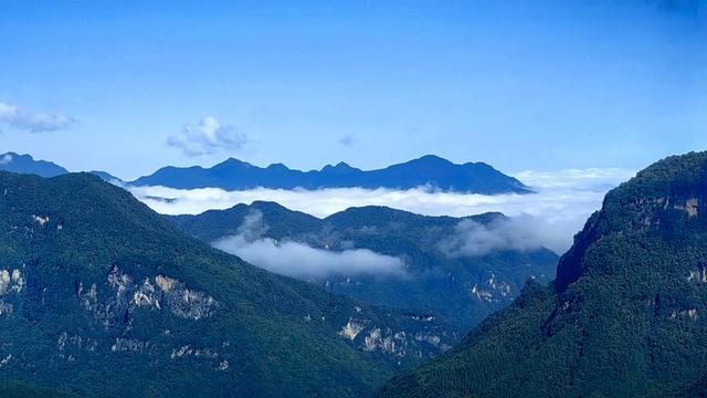 汤朔梅：在神农架