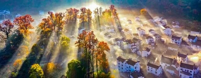 上饶绝美“枫景”加载完毕，前往石城锁定你的赏枫C位！