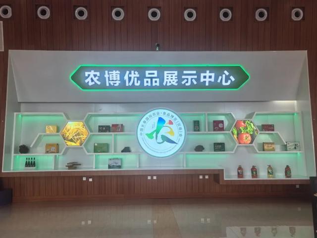 【速看】长春新增一个冰雪乐园