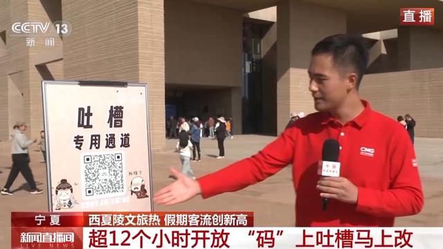 VR考古、特色文创……这个假期一起打卡世界遗产西夏陵