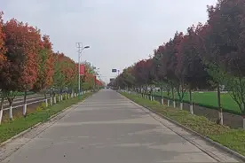 郸城县秋渠乡：乡村增颜值 幸福踏春来图片
