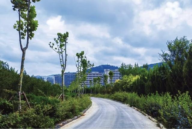 济南已建成300余公里山林绿道，串起泉城市民美好生活 | 高新篇