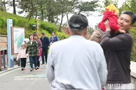 雨后登山，感受“绿肺”之美图片