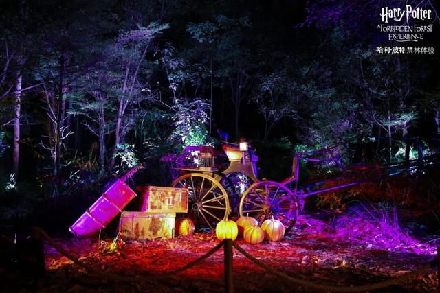 送票！冬天这里会“下雪”，二刷体验感更强
