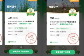 全国网友：大家的150多万株花棒 开始种进腾格里沙漠图片