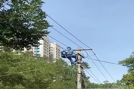 现场短新闻｜崇安社区11根废弃电线杆被集中拆除啦图片
