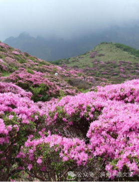 又火了！丰顺铜鼓峰“四大”景观，到底有多美？