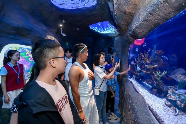 采风团走进湖北交投海昌海洋探索馆：趣游海洋世界，探寻交旅融合