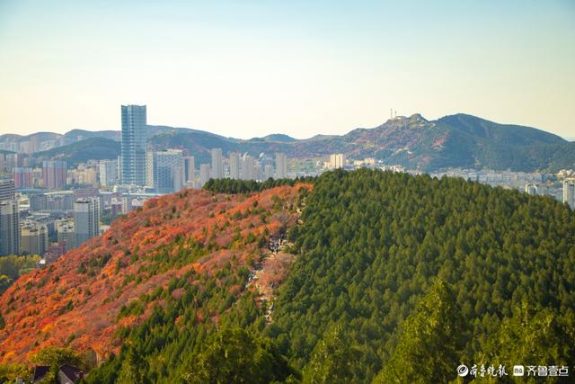 人气超高的蝎子山