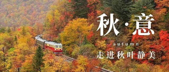 诗情秋意 遇见白山 | 长白县四海为家溪境雪庐露营地获批国家3A级旅游景区